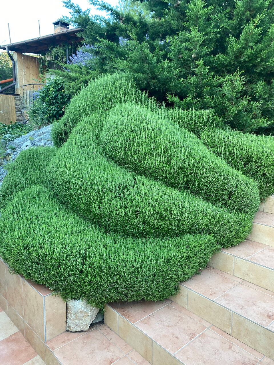 Гостиница Кипарис Балаклава-7