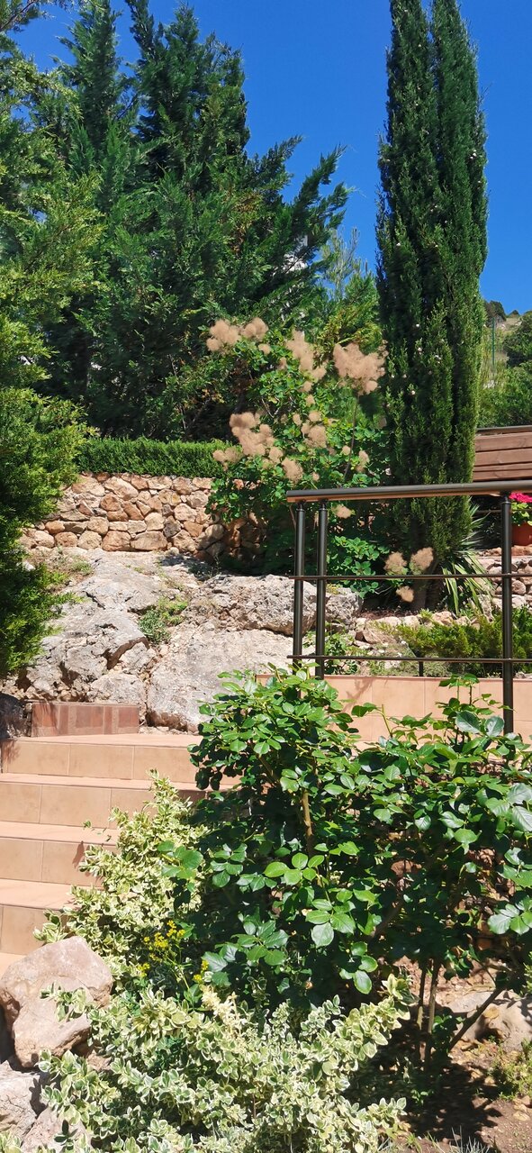 Гостиница Кипарис Балаклава-59