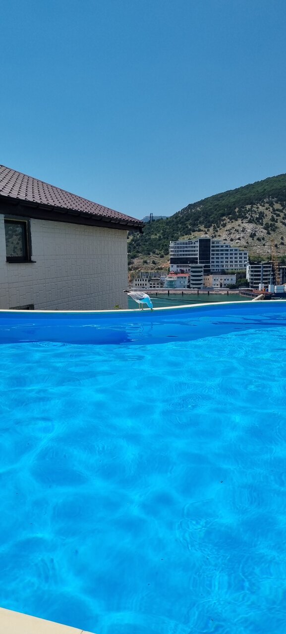 Гостиница Кипарис Балаклава-84