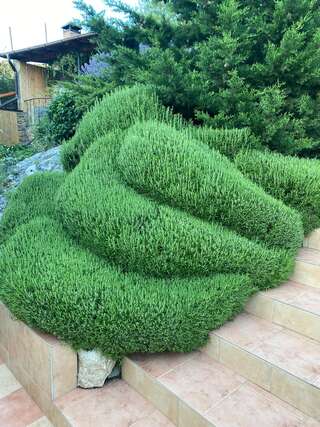 Гостиница Кипарис Балаклава-3