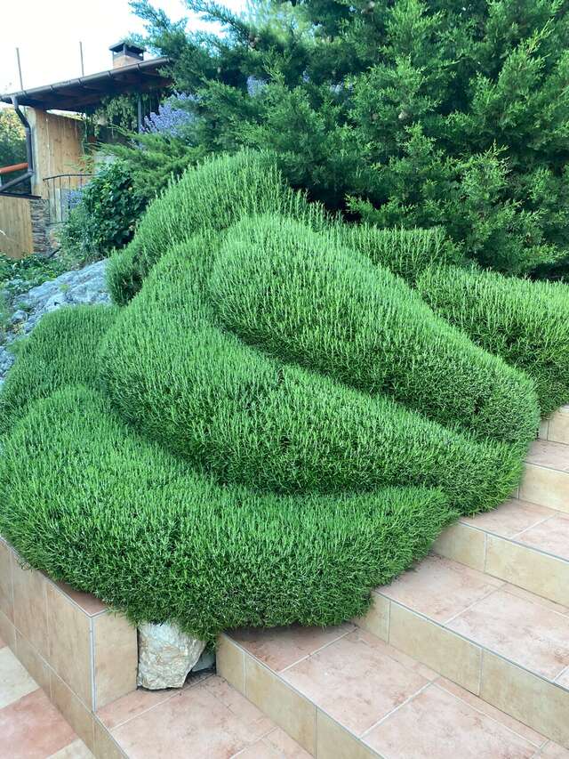 Гостиница Кипарис Балаклава-6