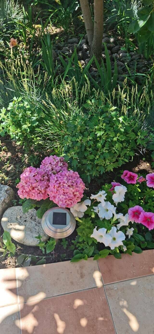 Гостиница Кипарис Балаклава-40