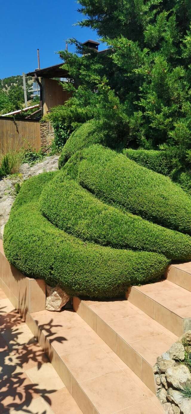 Гостиница Кипарис Балаклава-85